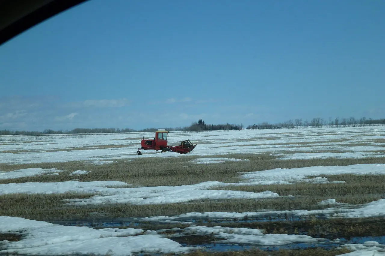 Red swather in a snowy field, 2015